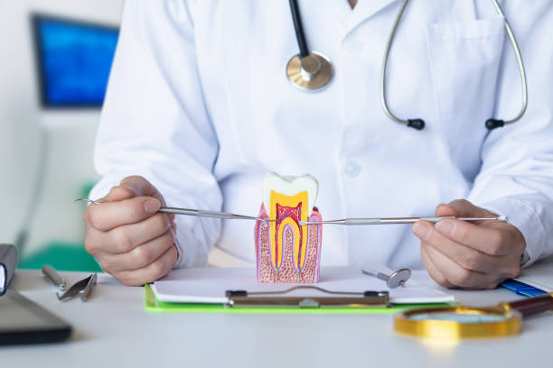 Best Emergency Treatment for Dental Infections or Abscesses in Gholson, TX
